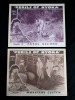 (6) "Perils of NYOKA" Serial Lobby Cards - 3