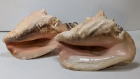 (2) PLug In Seashell Lights