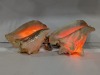 (2) PLug In Seashell Lights - 3
