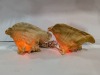 (2) PLug In Seashell Lights - 4