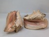 (2) PLug In Seashell Lights - 6