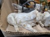 Figurines, Inlay Box, Kettle, & More - 6