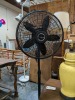 Coffee Table, Fan, Lamps, & Vacuum - 9