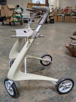 Acer Walker
