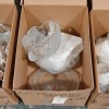 (6) Ctns of Dish & Glassware - 6