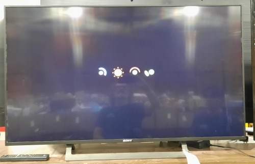 Sony 48" TV