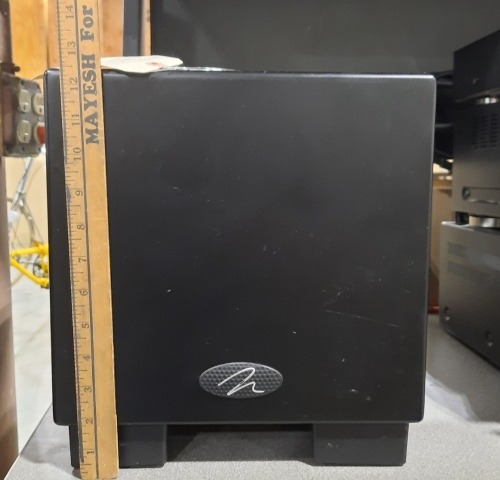 MartinLogan Dynamo 700 Subwoofer