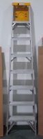 Davidson 8' Ladder