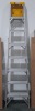 Davidson 8' Ladder