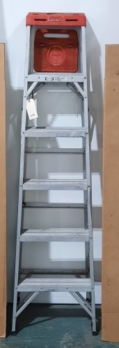 Werner 6' Ladder