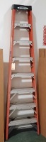 Werner 8' Ladder
