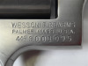 Wesson Firearms SuperMag Revolver - 11
