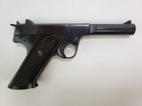 Sterling Arms Husky Pistol