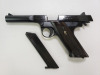 Sterling Arms Husky Pistol - 2
