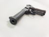 Sterling Arms Husky Pistol - 11
