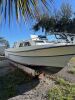 1986 26' Aquasport 250 Express Fisherman (Dania Beach, FL), 2024525200000101-002-0000