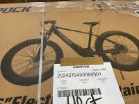 Electric Mountain Bicycles (Riverside, CA)