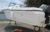 1998 20' Bayliner Trophy 2002 (Dania Beach, FL) - 2023525100005801-001-0000 - 3