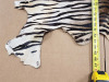 Animal-Like Themed Decor - 4