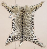 Animal-Like Themed Decor - 6