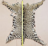 Animal-Like Themed Decor - 8