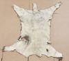 Animal-Like Themed Decor - 12