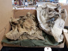 (2) Military & Tacktical Collectibles - 2