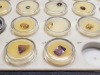 Assorted Loose Gemstones - 3