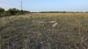 Residential Land, 11080 Ware Seguin Road, Schertz, TX - 3