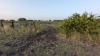 Residential Land, 11080 Ware Seguin Road, Schertz, TX - 8