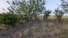 Residential Land, 11080 Ware Seguin Road, Schertz, TX - 10
