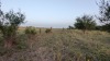 Residential Land, 11080 Ware Seguin Road, Schertz, TX - 11