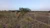 Residential Land, 11080 Ware Seguin Road, Schertz, TX - 17