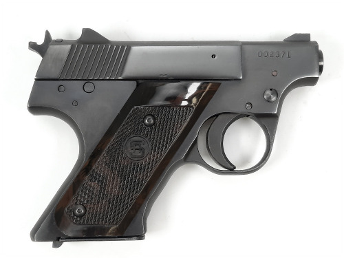 Sterling Arms PPL Pistol