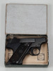 Sterling Arms PPL Pistol - 11