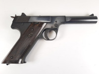 Sterling Arms Husky Pistol