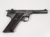 Sterling Arms Husky Pistol