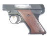 Sterling Arms PPL Pistol - 2