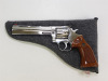 Dan Wesson Arms Revolver - 14