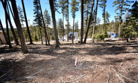 Residential Land, Lot 3 Rainmaker Loop, Cloudcroft, NM