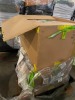 Motorola Modems (Pompano Beach, FL) - 2