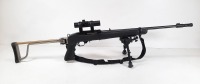 Ruger 10 / 22 RIfle