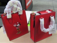 Disney X Coach Purses & Camera Bag (Laredo, TX)