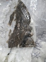 Decorative Crystal (Valley Stream, NY)