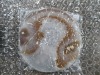 Decorative Crystal (Valley Stream, NY) - 15