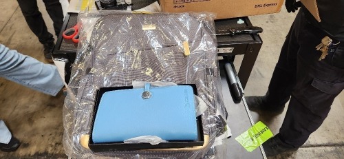 Passport Wallet/Backpack (Carson, CA)