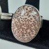 Sterling SIlver RIngs - 6