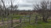 Rural Land with Buildings - 42