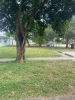 Three Residential Duplexes, 4565 Coconut Rd, Lake Worth,FL - 3