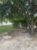 Three Residential Duplexes, 4565 Coconut Rd, Lake Worth,FL - 5
